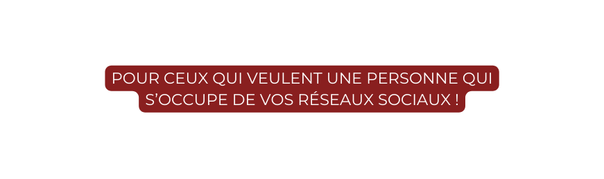 pour ceux qui veulent une personne qui s occupe de vos réseaux sociaux